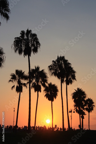 coucher de soleil sous les palmiers