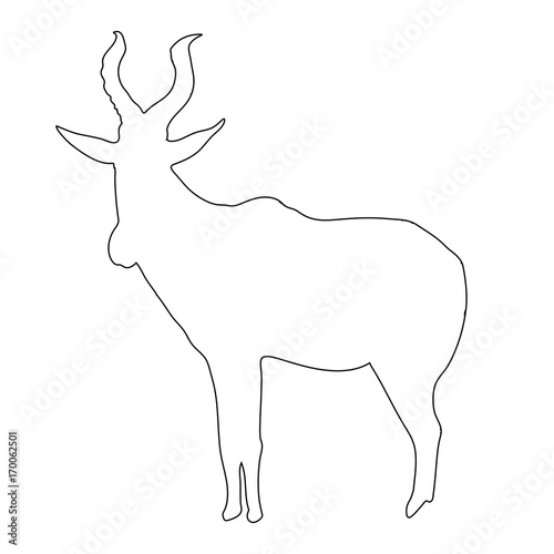 Outline of an african Red Hartebeest - digitally handdrawn illustration on white background photo