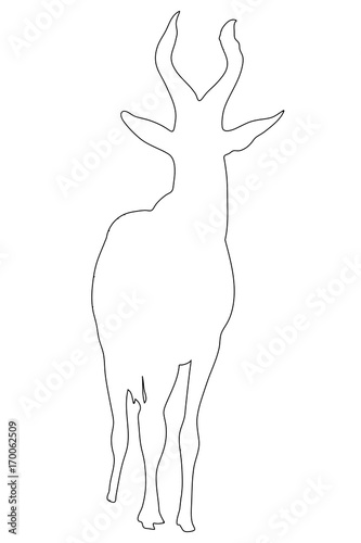 Outline of an african Red Hartebeest - digitally handdrawn illustration on white background