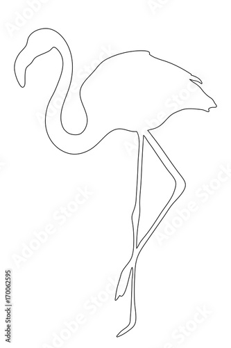 Outline of an african Flamingo - digitally handdrawn illustration on white background