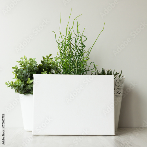 Mockup poster in neutral interior. White empty canvas and houseplants.