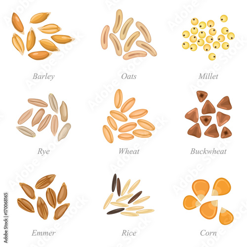 Icon set of cereal grains part 3 / Solid fill set of cereal grains
