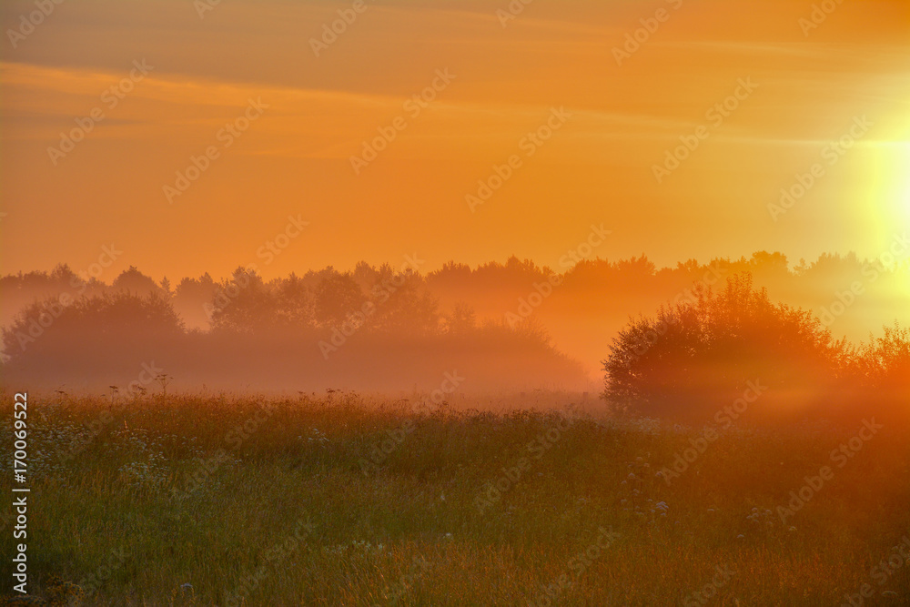Summer dawn Summer dawn