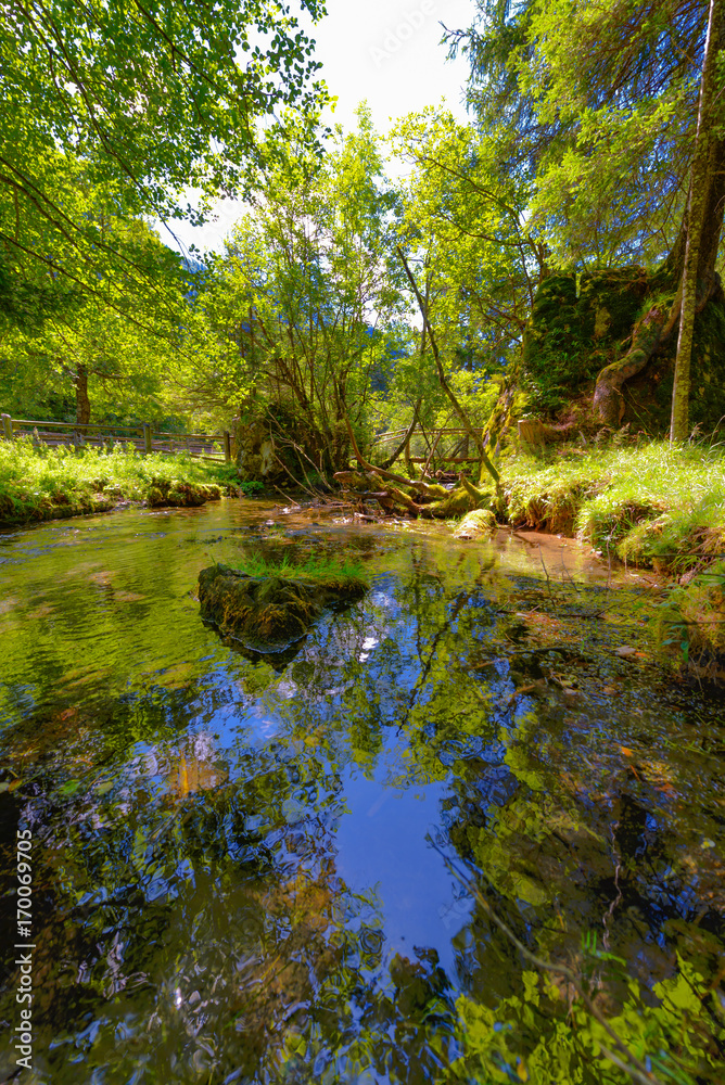 Crna spring in Logarska valley where the Savinja river originates Crna spring in Logarska valley where the Savinja river originates