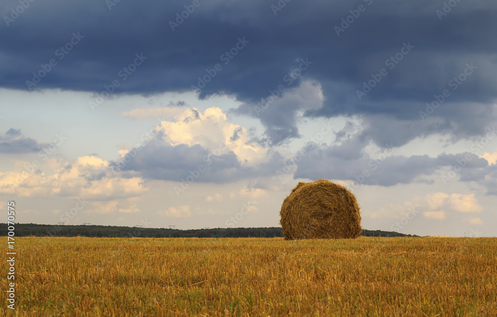 rural landscape with fields and haystacks of straw