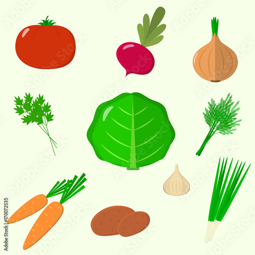 Set of vegetables. Organic vegetarian healthy food isolated on white background. Vector.