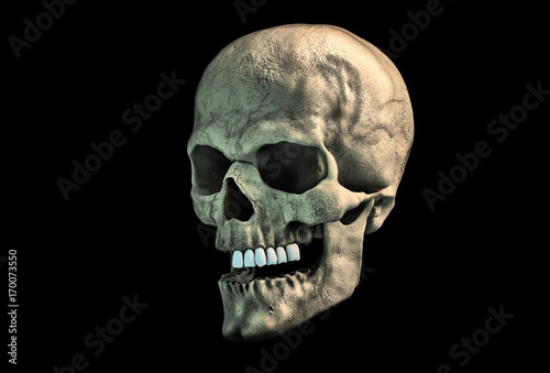 Human skull on Rich Colors a dark background. The concept of death  horror. A symbol of spooky Halloween. 3d rendering illustration.