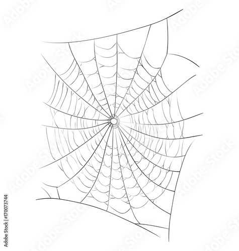 spider web vector symbol icon design. Beautiful illustration isolated on white background