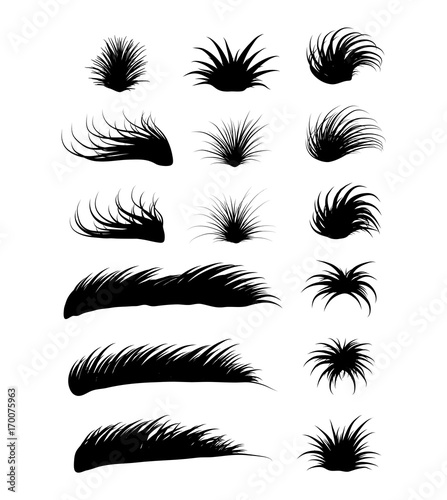 grass vector symbol icon design. Beautiful illustration isolated on white background