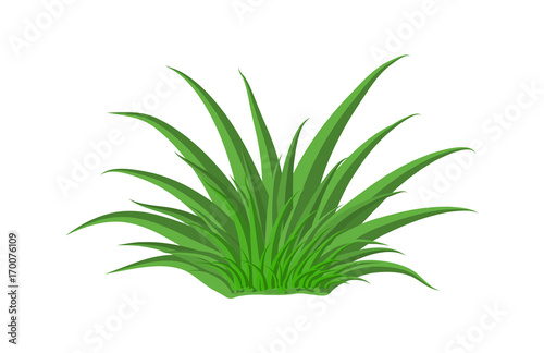 grass vector symbol icon design. Beautiful illustration isolated on white background