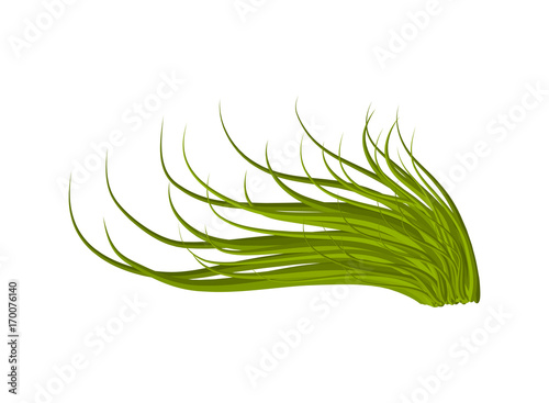 grass vector symbol icon design. Beautiful illustration isolated on white background