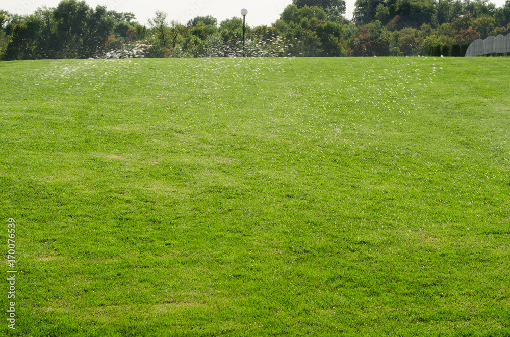 In the nature a green grass watering a lawn splashing water