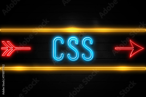 Css - fluorescent Neon Sign on brickwall Front view