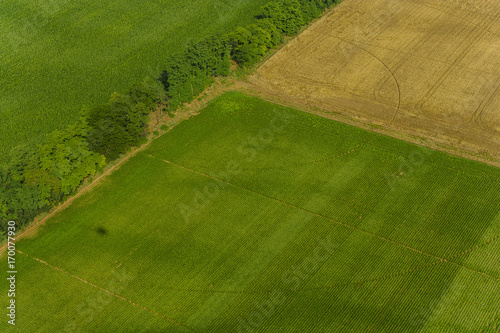 aereal view of farmland photo