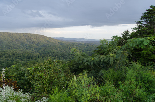 A morning view of rain in the distance from an overlook in the Talladega National Forest near Oxford, Alabama.