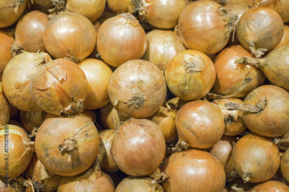 Bulbs on the market background texture Bulbs on the market background texture