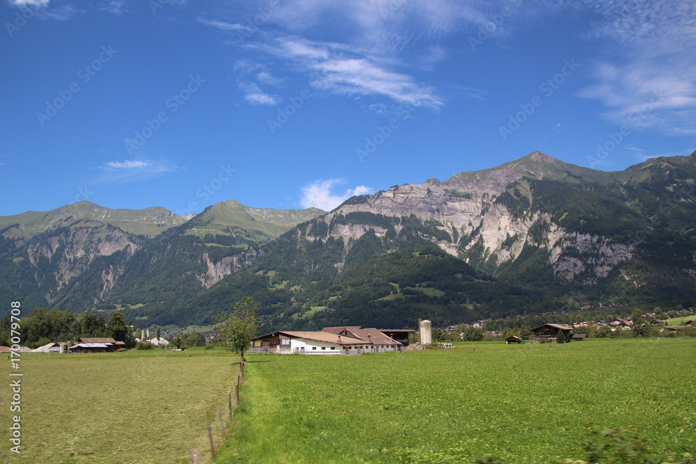 typical Schweiz typical Schweiz