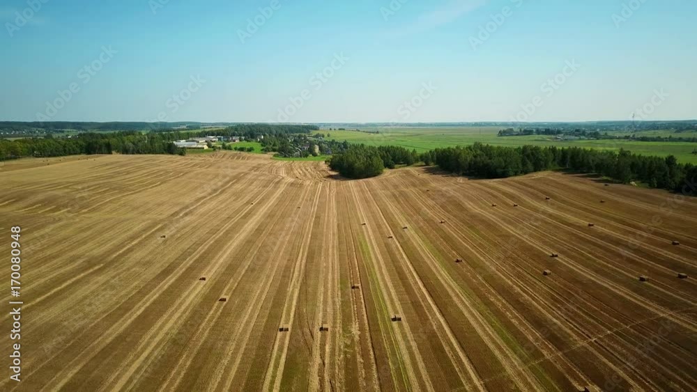 4K. Flight over cultivated fields with haystacks after harvesting. Aerial view. 4K. Flight over cultivated fields with haystacks after harvesting. Aerial view.