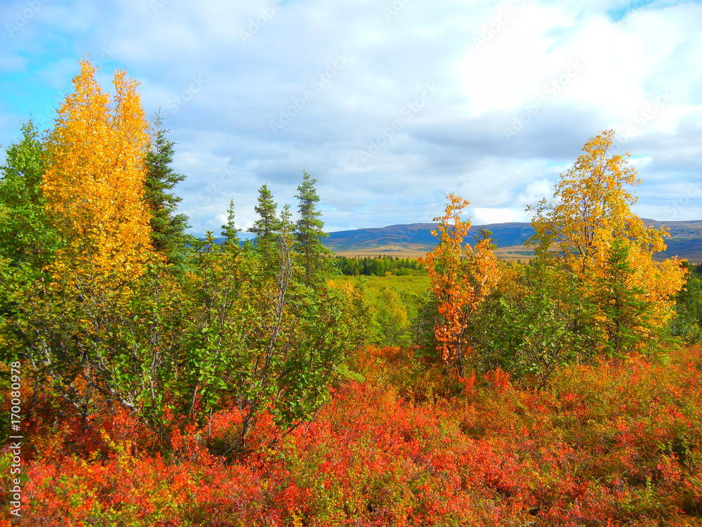 Fall on the Tundra