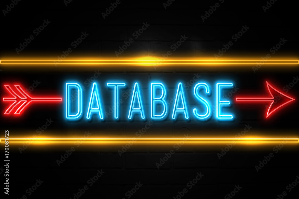 Database  - fluorescent Neon Sign on brickwall Front view