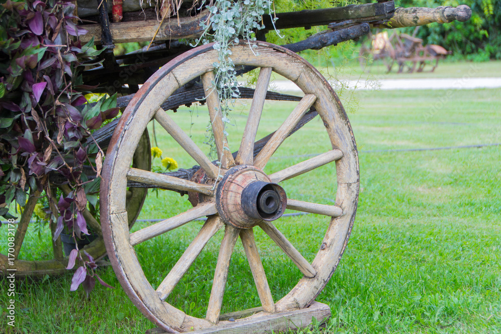 Wooden carriage wheel
