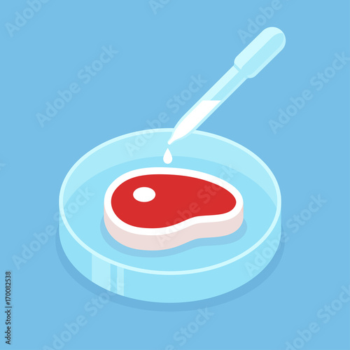 Lab grown meat