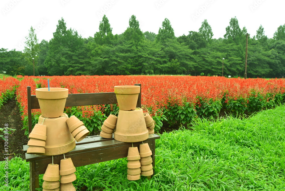 Obraz premium 夏から秋にかけての大宮花の丘農林公苑