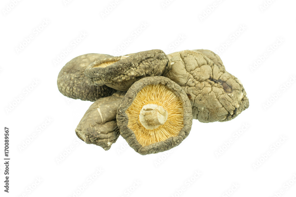 Dry Mushrooms isolated on white background Dry Mushrooms isolated on white background