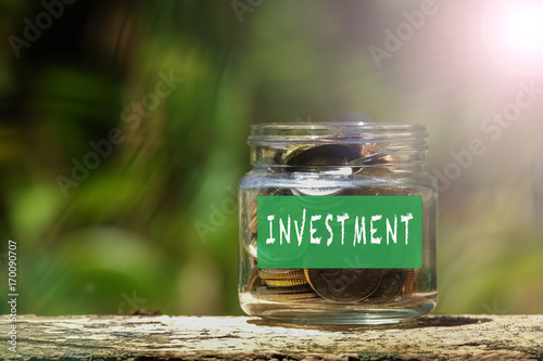 Savings Coins - Investment And Saving Concept