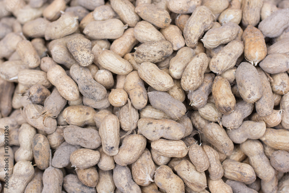Peanuts in shell texture background. Raw peanuts on display