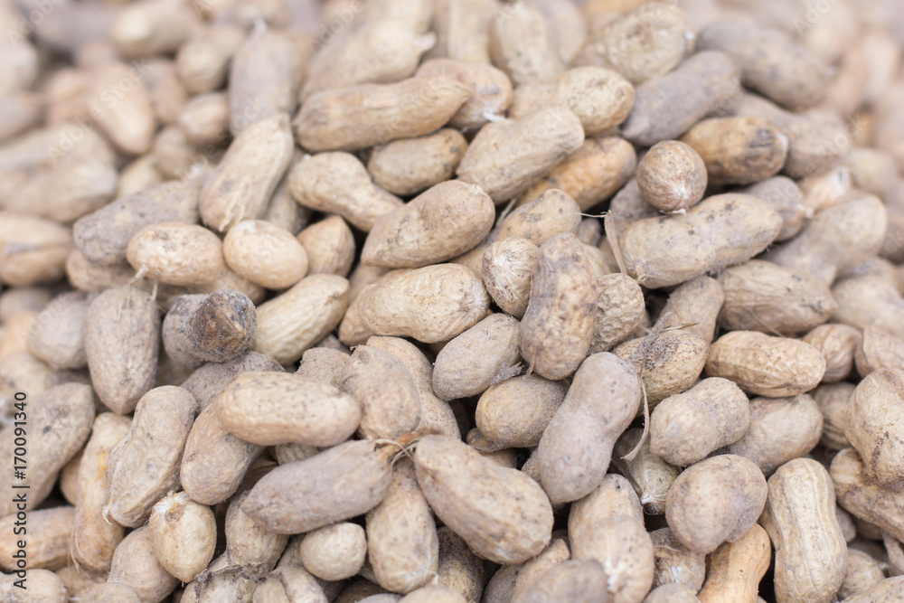 Peanuts in shell texture background. Raw peanuts on display Peanuts in shell texture background. Raw peanuts on display