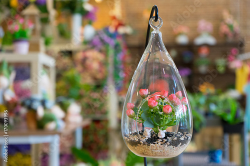 Mini garden in glass plant terrarium with rose flowers made of fabric. Colorful of decoration artificial flower