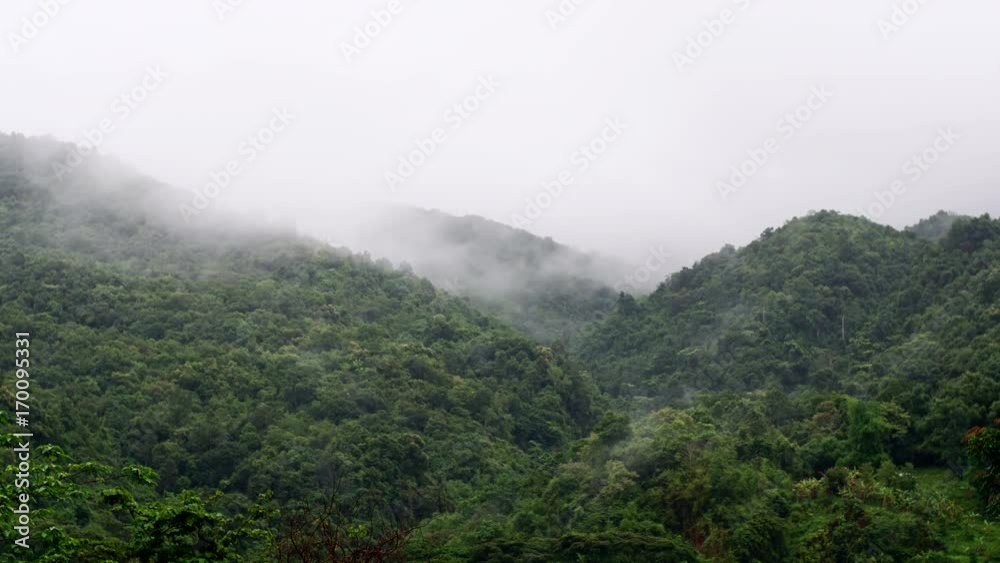 Misty mountain forest on the Doi Phuka lush green tropical forest covered in low cloud during rainy monsoon season in Nan Province, Thailand. Misty mountain forest on the Doi Phuka lush green tropical forest covered in low cloud during rainy monsoon season in Nan Province, Thailand.