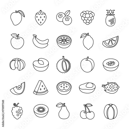 Fruit II outlines vector icon