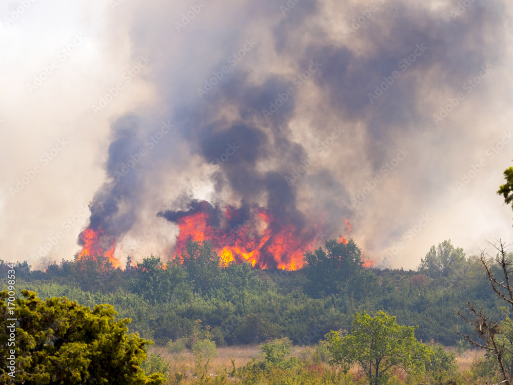 a devastating fire in Croatia near Pristeg village a devastating fire in Croatia near Pristeg village