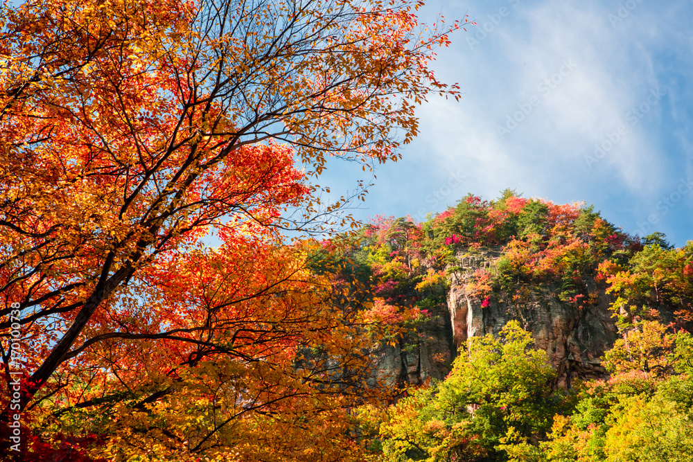 Sogeumgang of beautiful autumn leaves of Odaesan Mountain.
