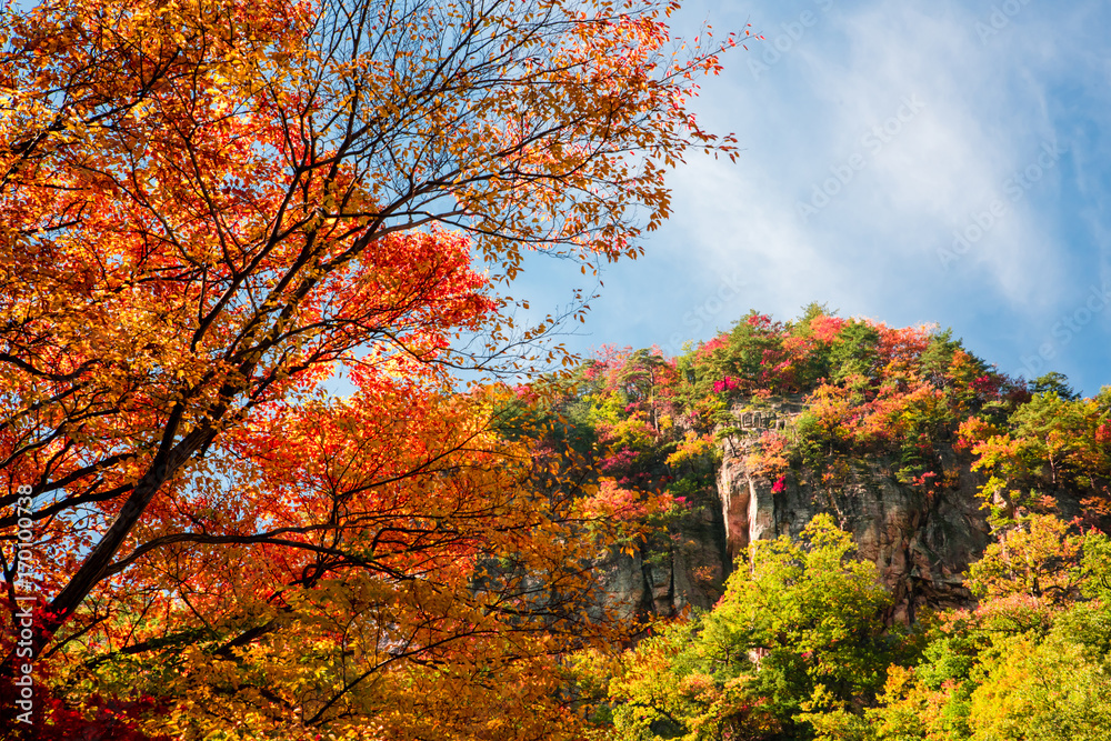 Sogeumgang of beautiful autumn leaves of Odaesan Mountain. Sogeumgang of beautiful autumn leaves of Odaesan Mountain.