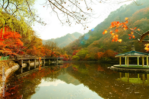 Beautiful autumn leaves of Naejangsan.