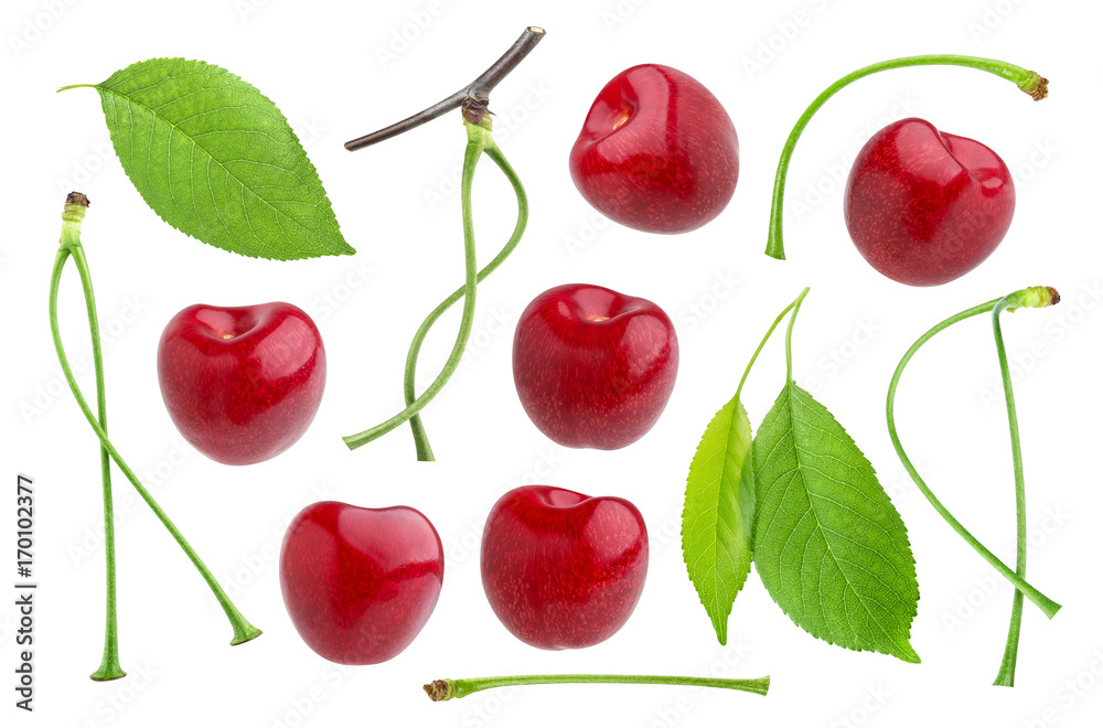 Cherry isolated on white background. Collection Cherry isolated on white background. Collection