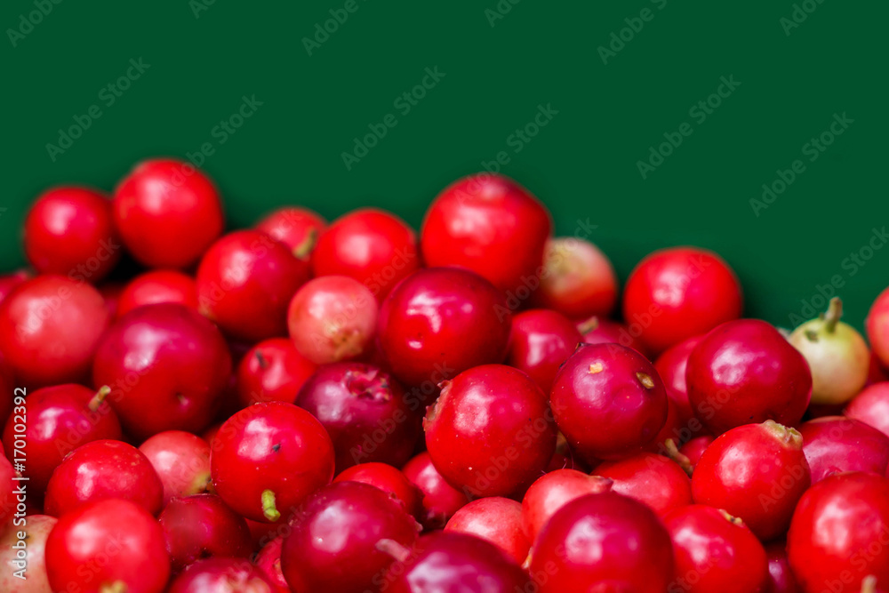 Forest cranberries healthy on green background. Autumn edible useful berries. Natural food of wild nature, rich in vitamins. Fall season of picking berries in Northern Europe and the tundra. Forest cranberries healthy on green background. Autumn edible useful berries. Natural food of wild nature, rich in vitamins. Fall season of picking berries in Northern Europe and the tundra.