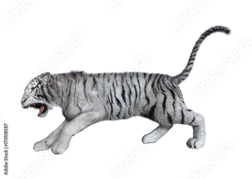 3D Rendering White Tiger on White