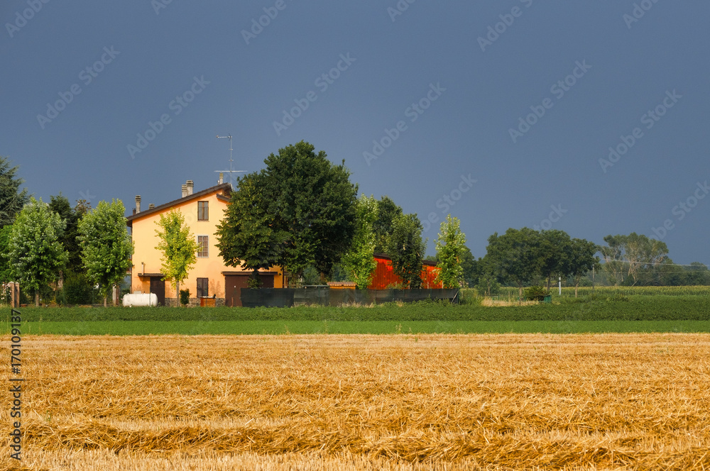 Obraz premium Country landscape near Fiorenzuola (Piacenza, Italy)