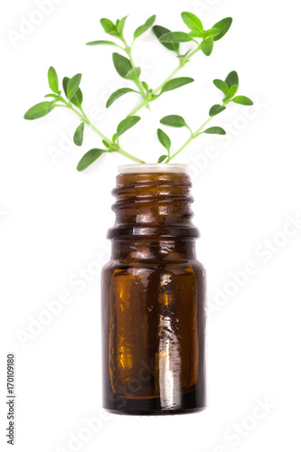 Bottle of essential oil with herbs thyme isolated on white background