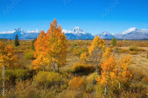 Grand Teton