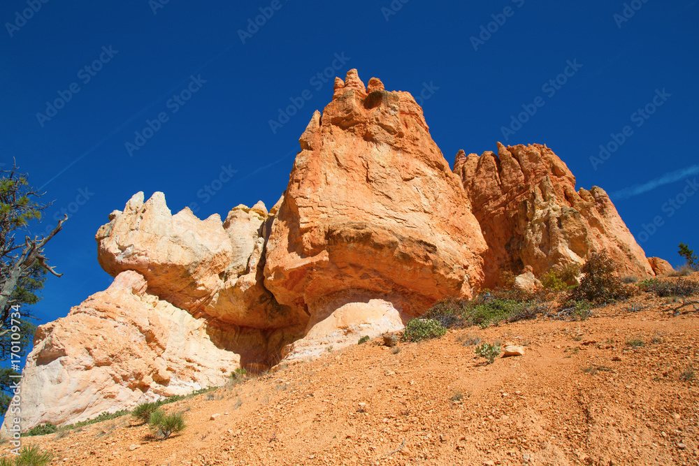 Fototapeta premium Bryce canyon