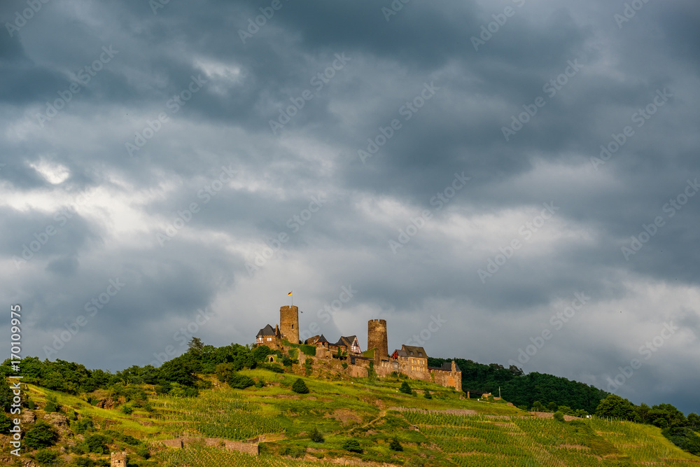 Thurant Castle and vineyards above Moselle river near Alken, Germany.