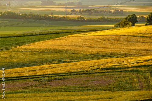 Rolling hills on sunset. Rural landscape. Green fields and farmlands  fresh vibrant colors