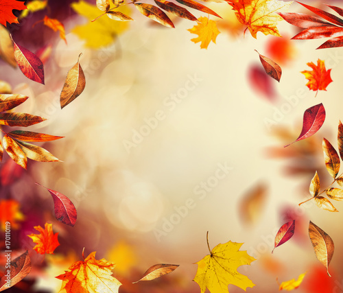 Beautiful autumn background with flying falling colorful leaves and bokeh   frame