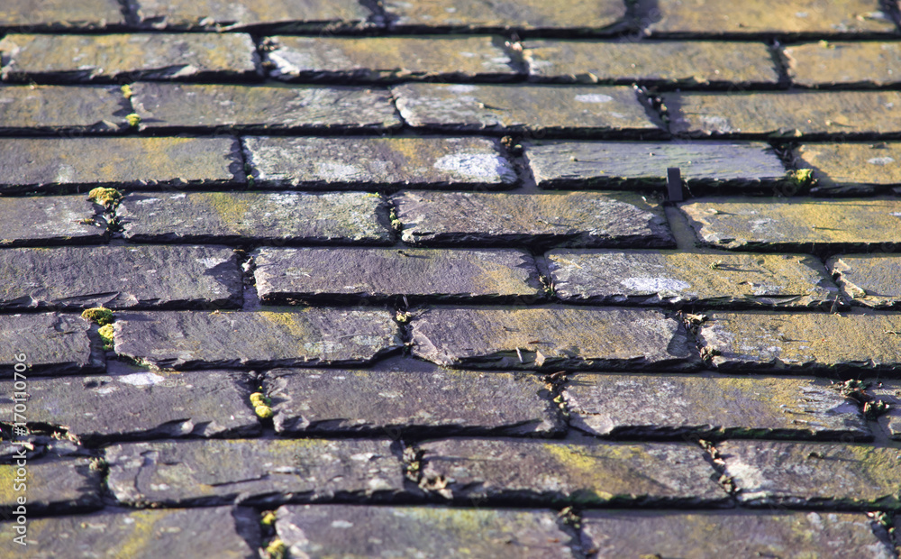 Purple and yellow stone tile roof background