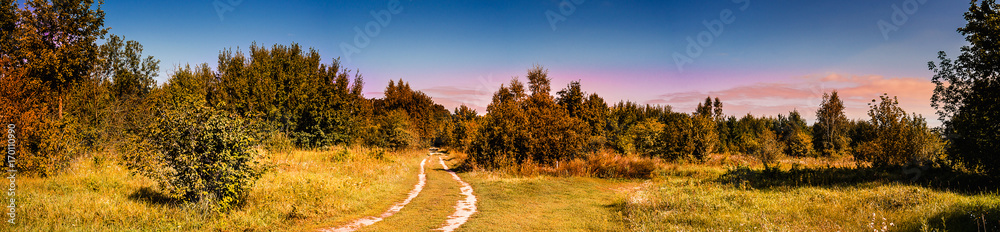 Rural fall landscape panorama of a green meadow with colorful trees, road and blue sky in autumn